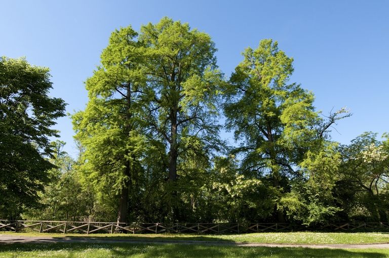 _SCA5308-Modifica-Modifica